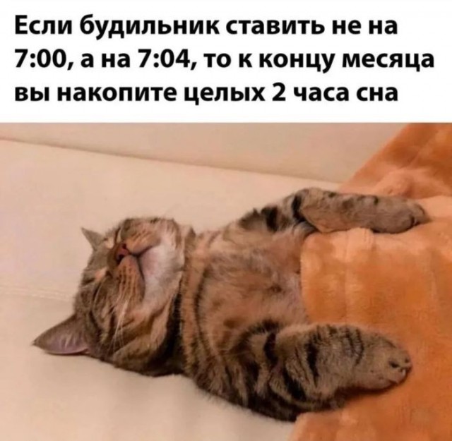 картинка 61ca5439fa 20939705