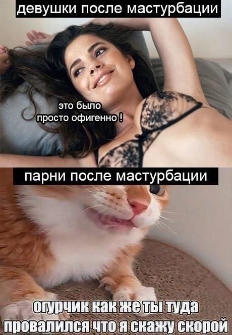 картинка 6254753fb5 perchinka dlja vashej lenty sbornik pikantnyh memov s ogonkom 17