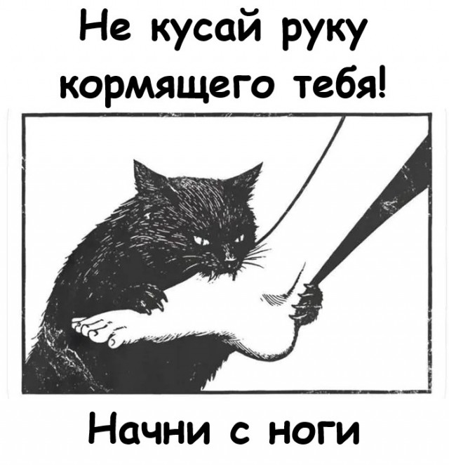 картинка 62e8ad0c17 21021186