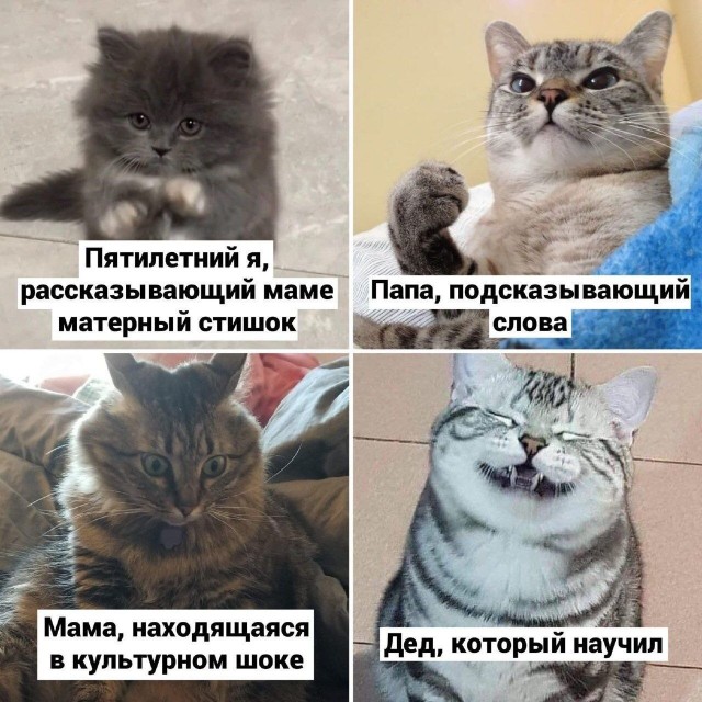 картинка 64ab0ac8a0 20973082