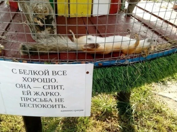 картинка 65a6f66739 20987109