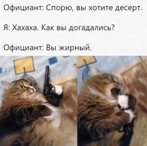 картинка 65d56cf63b 20920827