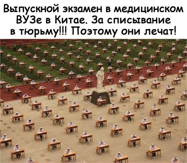 картинка 67b23f4fec 20986398