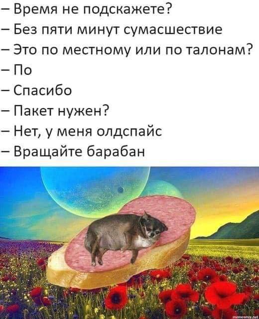 картинка 68a68e84e6 20970003