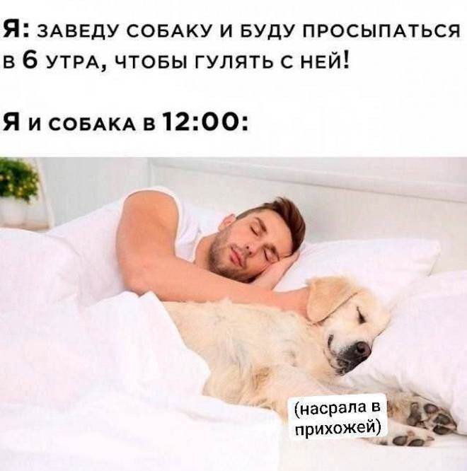 картинка 68b9deb20a samye novye shutki iz interneta 12