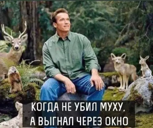 картинка 6acee5f9a7 20956514