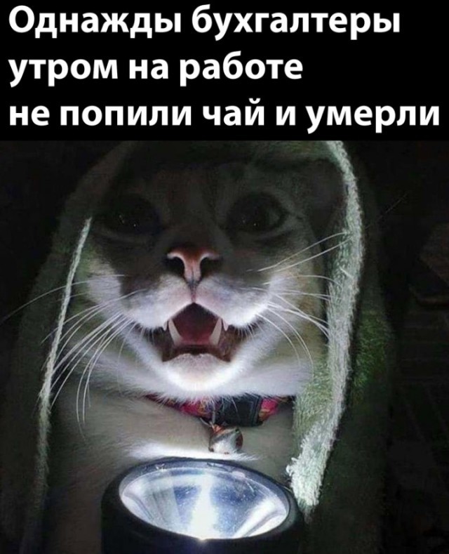 картинка 6bbccf4dc2 srochno trebuetsja doza horoshego nastroenija est reshenie 23
