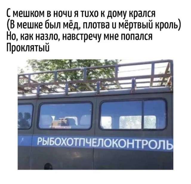 картинка 6cfc800b9d 20970012