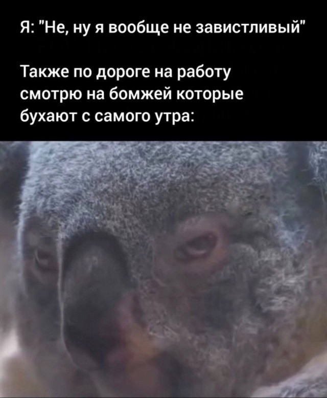 картинка 6d4bb72ef5 20972515