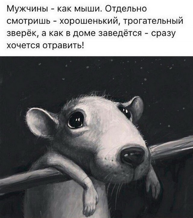 картинка 6de7b0b423 20987116