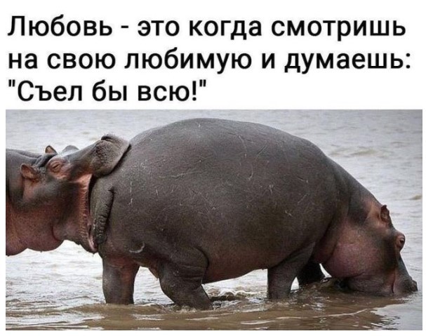 Маленькая пятница уже здесь! 🎉 Лови порцию свежих шуток и мемов, чтобы пережить середину недели с улыбкой! шутки, чтобы, маленькая, приколы, пятница, выходных, настроения, недели, самые, Готовьтесь, которые, самый, совсем, повороты, каждый, работу, нашел, чтото, душеСитуативные, 😉Неожиданные