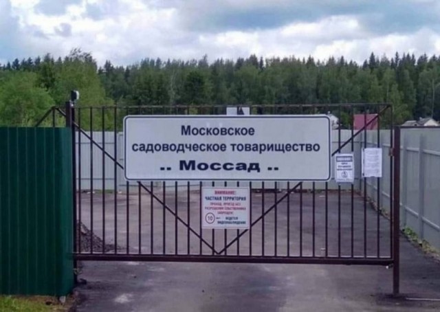 картинка 7021ca6a40 21008646
