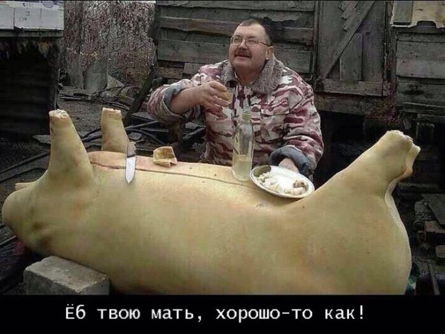 картинка 714a342e8e 20986252