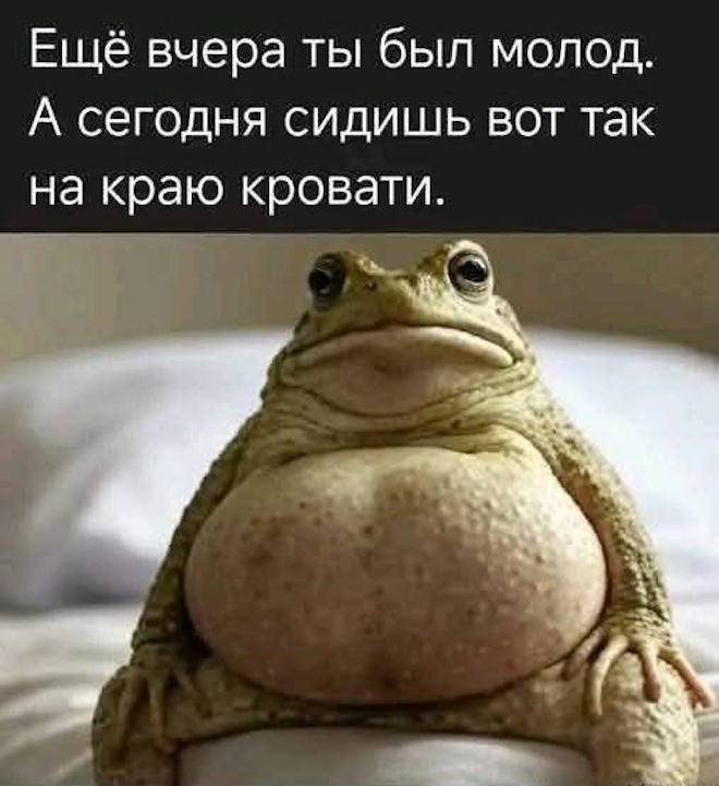 картинка 714cc38189 samye novye shutki iz interneta 14