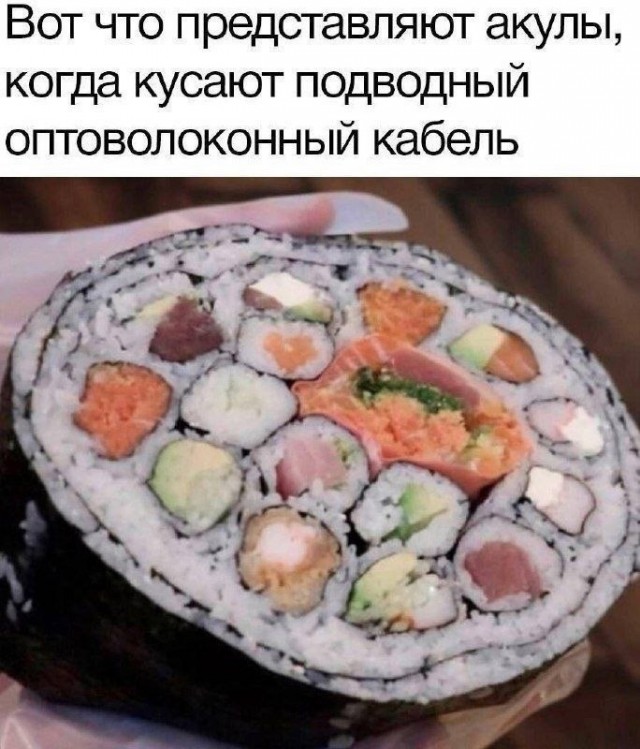 картинка 74ff581a6d 20953352