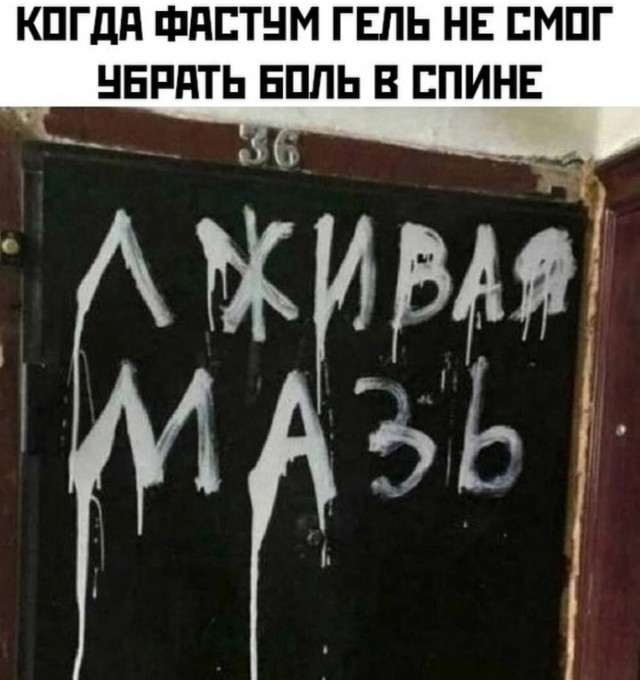 картинка 751d2b4c19 20954595