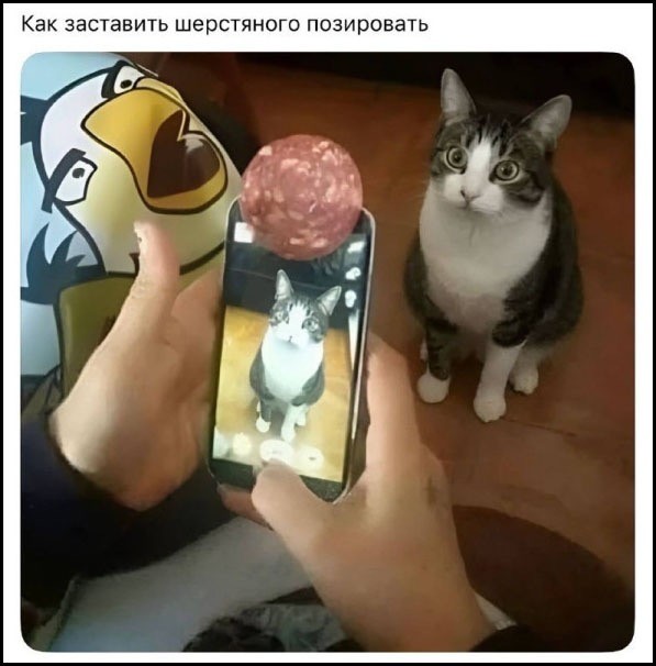 картинка 75fdd82ed7 20955917