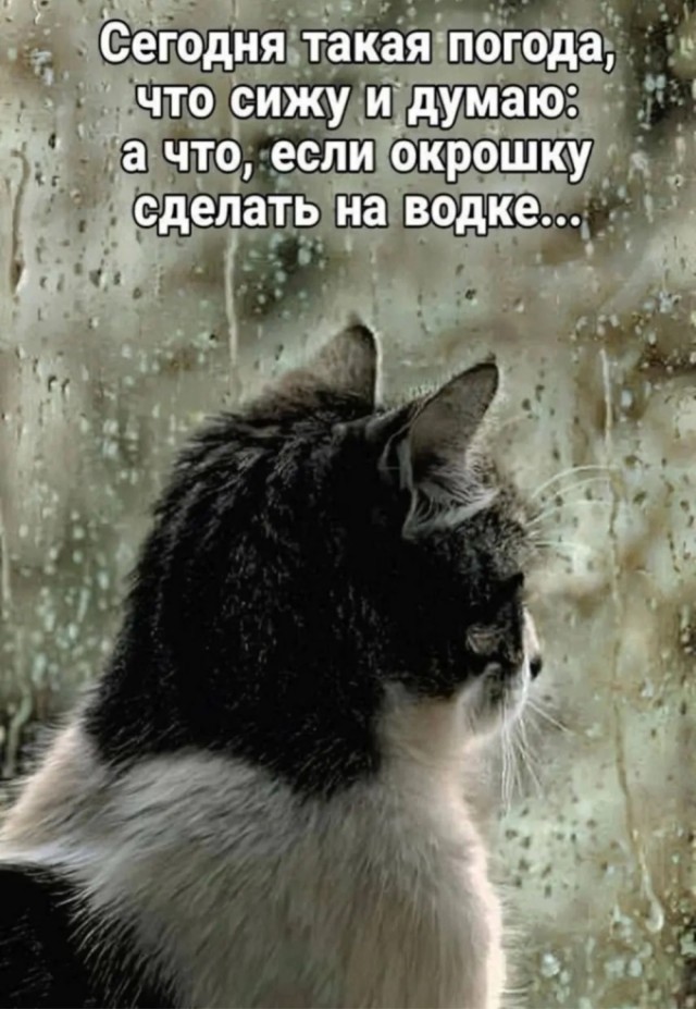 картинка 76c1d8f082 20987211