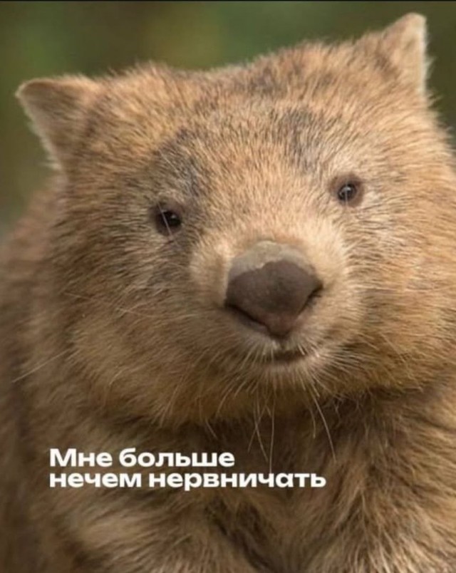 картинка 79447fcd9c 20986736