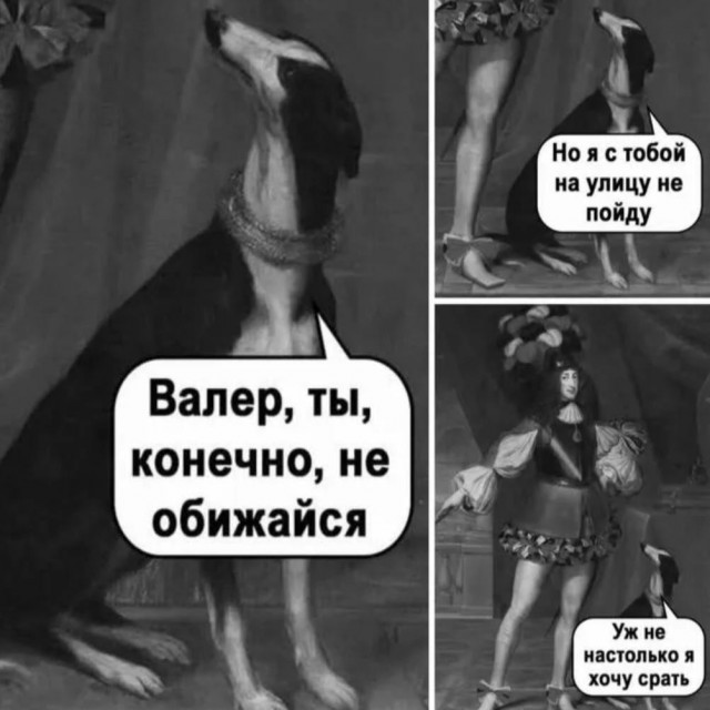 картинка 7be8aa4f48 20973045