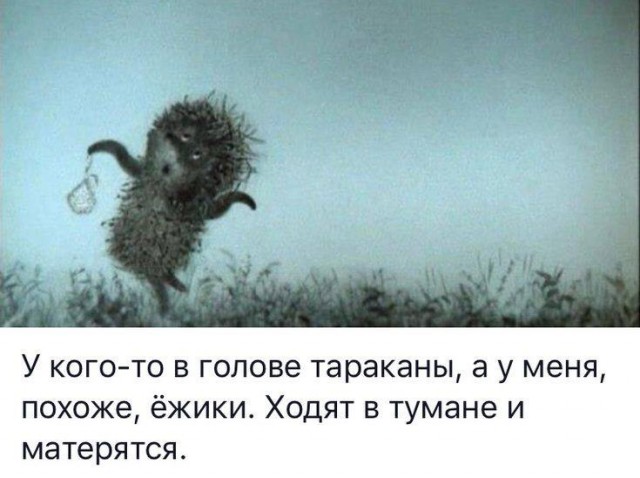 картинка 7d2ce35f81 20938639