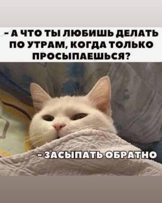 картинка 7e5cfbd1bc 20985506