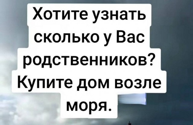 картинка 7e61e06610 20937271