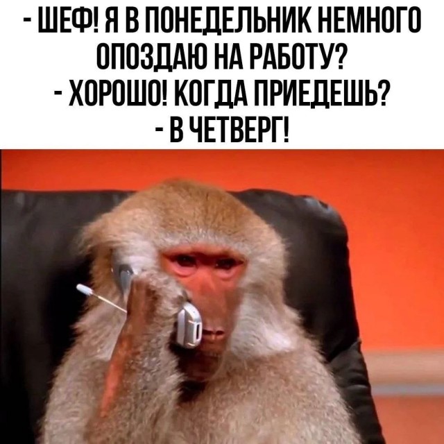 картинка 7ee7b878fb 20954810