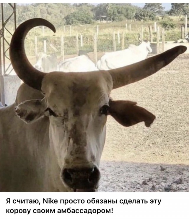 картинка 7f8721f304 20938504