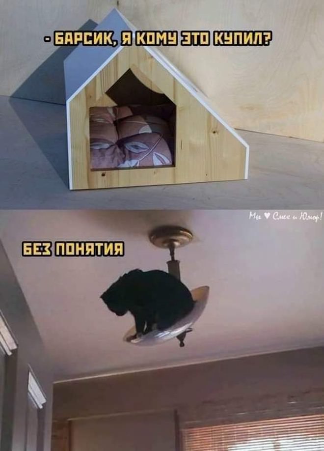 картинка 803fb95e3d ulybnites shire bolshaja podborka svezhego jumora dlja vashego otlichnogo nastroenija 10