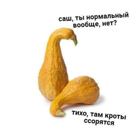 Выходные — время для смеха! выходные, смеха, настроение, сохраняйте, смейтесь, листайте, Тогда, позитива, кофеГотовы, Ловите, лучше, взбодрить, могут, минут, энергии, заряд, мгновенный, отправляйте, друзьям, думают