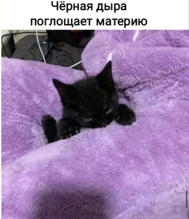 картинка 8195e7d2b8 20987157