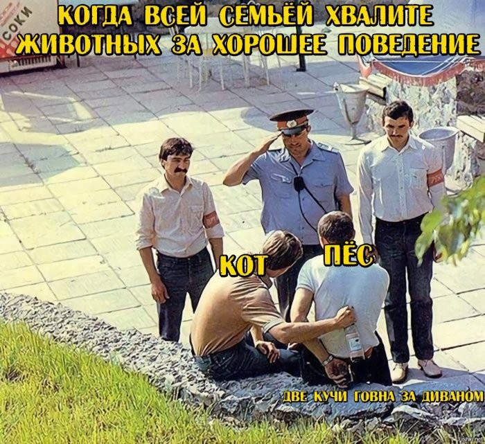 картинка 81b0a12d85 svezhaja porcija ubojnogo jumora 4