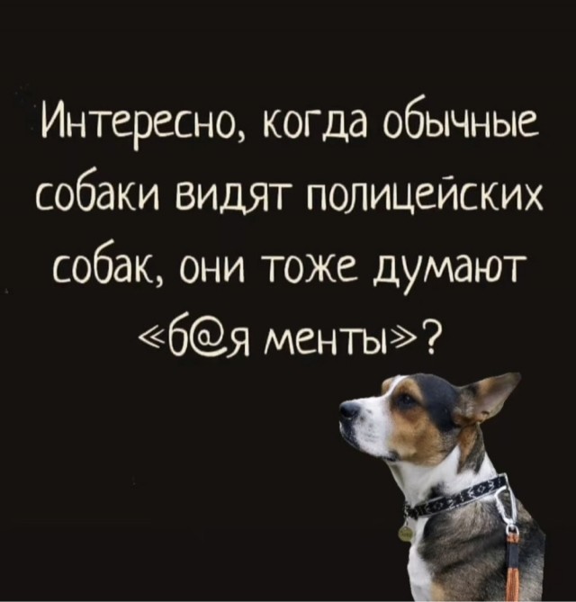 картинка 8308110ce0 20971714