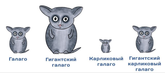 картинка 8408037090 20954266