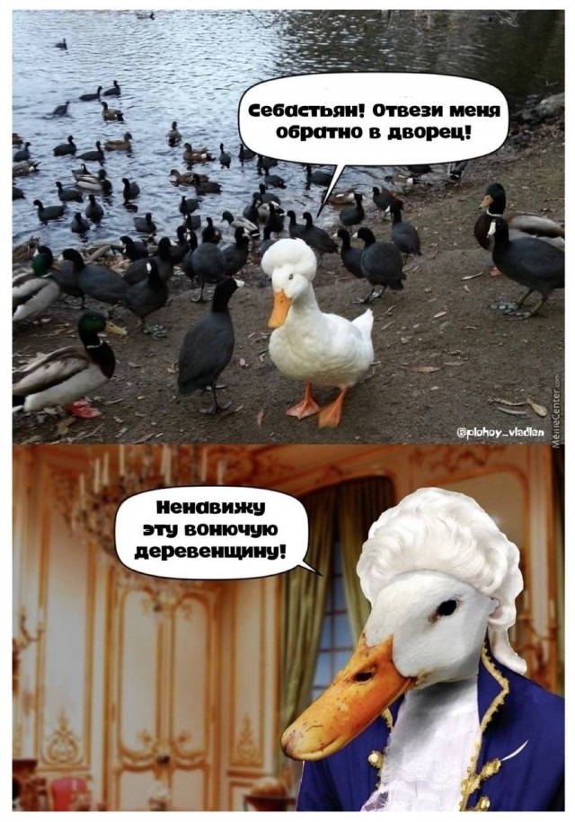 картинка 84bf53f8d3 20969989