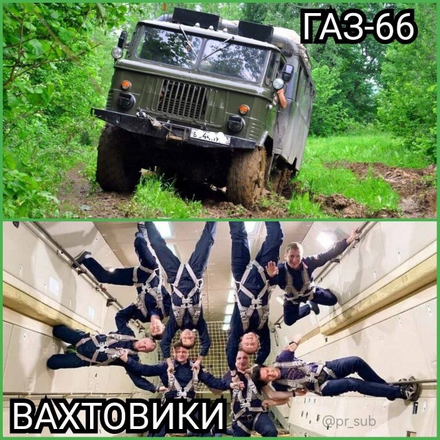 картинка 8586561536 20972373