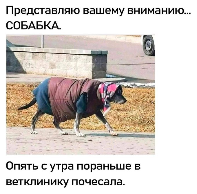 картинка 868b35fc02 0000000000000000000000000000000