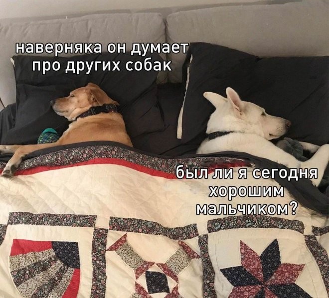 Готовьтесь к взрыву смеха! Свежие мемы на выходные которые, настроение, минут, выходные, подписями, стоит, другие, ситуацииФилософские, короткие, ёмкие, фразы, заставляют, одновременно, выходных, смеяться, задуматьсяПочему, посмотретьЭти, мемызаряжают, позитивом, смеха