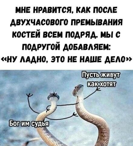 картинка 87332d9871 20955273