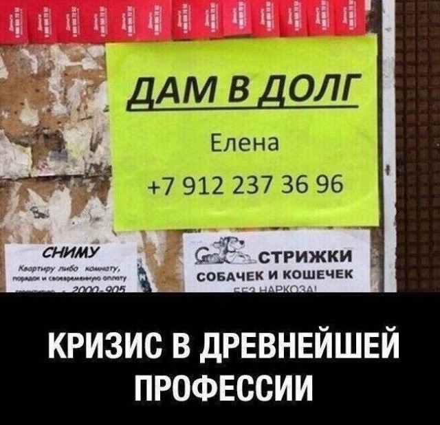 картинка 876c0fdcaa 20954297