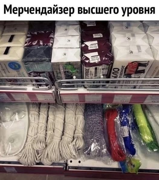 картинка 888c9d7b5b 20987263