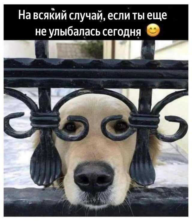 картинка 8d0b4b2ff0 20973080