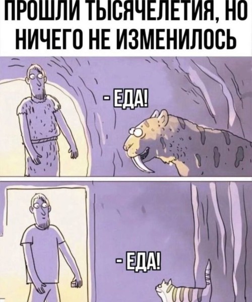 картинка 8d12b0f903 20971800