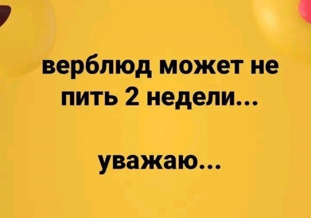 картинка 8d2e3ee0bc 20970235
