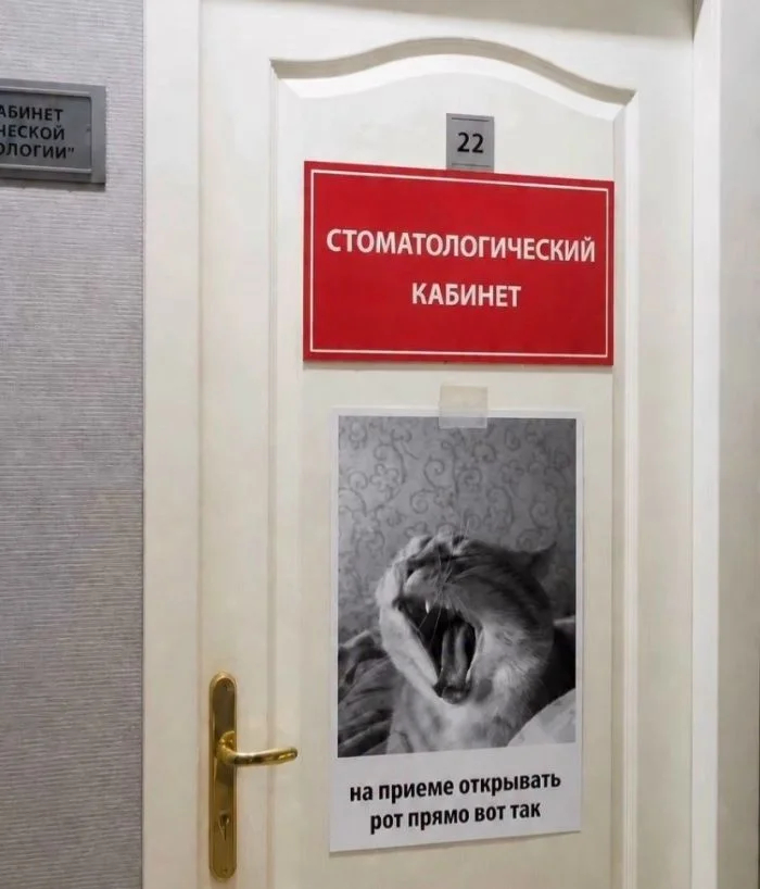 картинка 8effd35d2f 000
