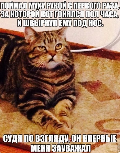 картинка 8f22a24e90 gotovy k porcii chernogo jumora ostorozhno mozhet byt slishkom smelo 11