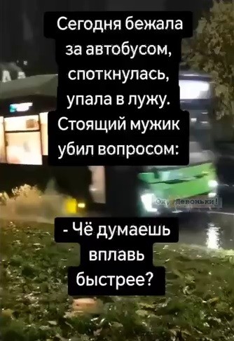 картинка 8f39b2268d 20954798