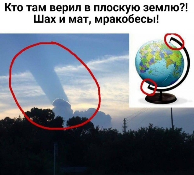 картинка 8f91c7f917 20938592