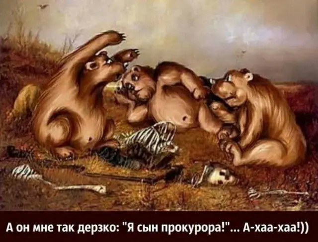 картинка 9070466c7b 20955935